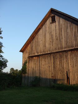Picture